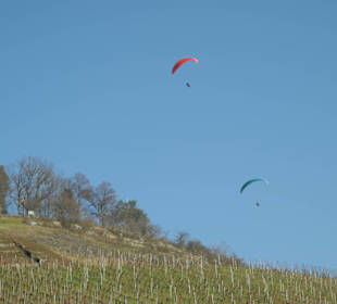 Gleitschirmflieger am Korber Kopf