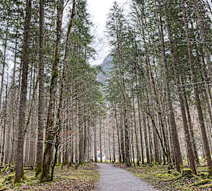 Malerwinkel am Königssee