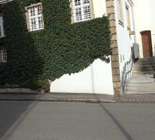 Schloss Rübgarten