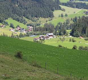 Wandern St. Martin im Lammertal