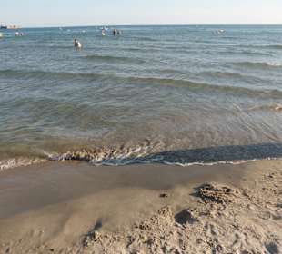Meer