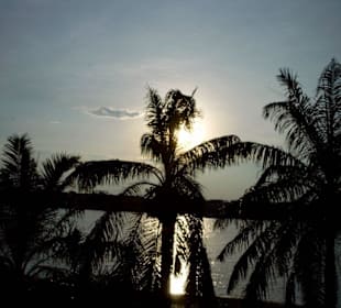 Abend am Parfümfluss