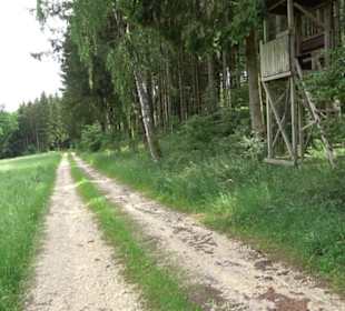 Premiumwanderweg "hochgehackert"