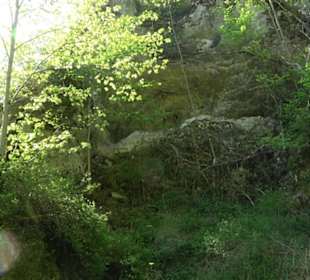 Premiumwanderweg Hochgehschätzt