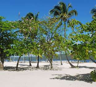 Karibik-Flair mit Liegen