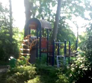 Seewoog in Ramstein-Miesenbach