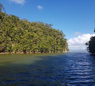 Los Haitises Nationalpark