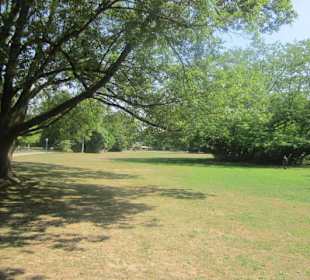 Kurpark Bad Bergzabern