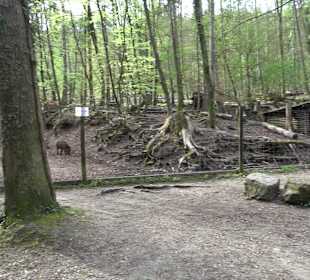 Walderlebnisweg Rottenburg
