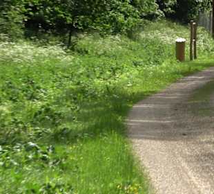 Phäno-Pfad Aichstetten