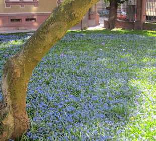 Der Botanische Garten im März 14