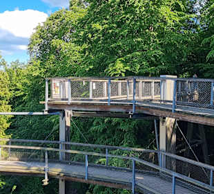 Baumwipfelpfad  Prora