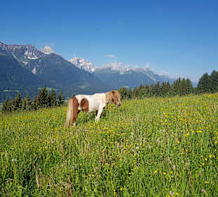 Wandern Dellach
