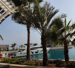 Ayia Napa Marina