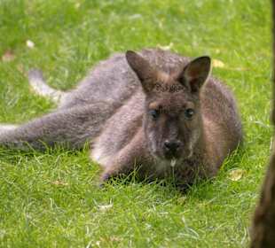 Tierpark Hamm 