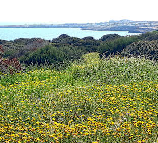 Nationalpark Kap Greco