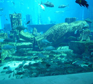 Unterwasserwelt im Atlantis