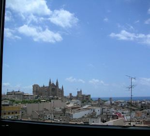 Palma