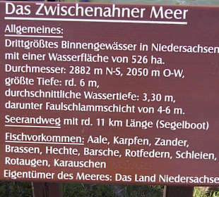 Ohne Worte
