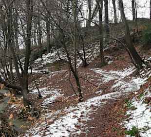 Tal des Bornheimer Bachs