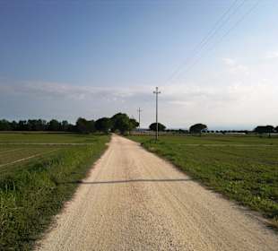 Naturschutzgebiet dei Pini