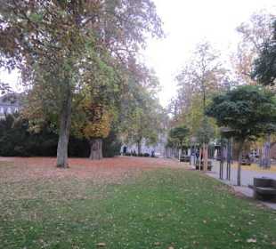 Altstadt Speyer Park am Dom