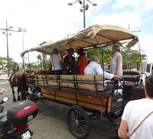 Warten auf Touristen