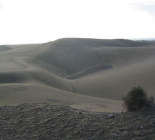 Dünen von Playa del Ingles