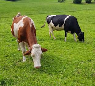 Wandern Bad Kleinkirchheim