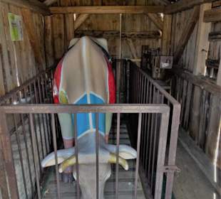 Die alte Viehwaage des Museums