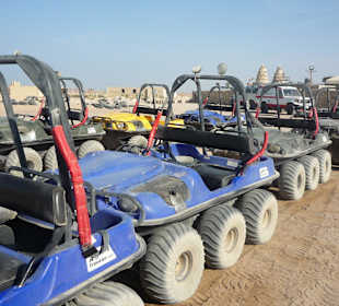 Ausflug in die Wüste