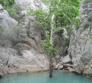 Ausflug Green Canyon