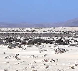 Dünen von Corralejo