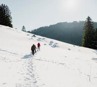 Wandern Muggenbrunn