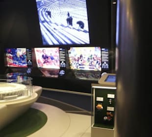 FIFA World Football Museum
