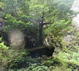 Queimadas/Caldeirão Verde