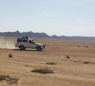 Jeepsafari durch den Wadi El Gimal Nationalpark