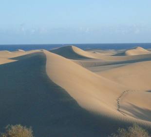 Dunes