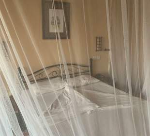 Safari Lodge Ashnil Aruba 