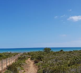 Wandern Can Picafort