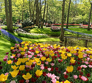 Keukenhof