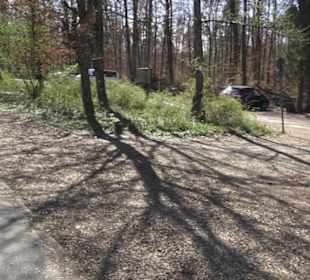 Sport- und Freizeitpark Markwasen