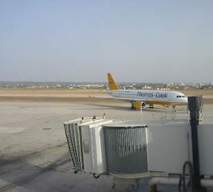 Unsere Maschine beim Rückflug