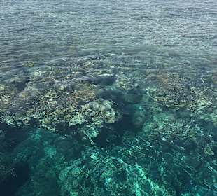 Diving Tour. Sehr günstig in der Stadt gebucht.
