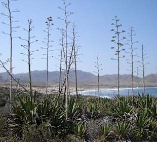 Cabo de Gata