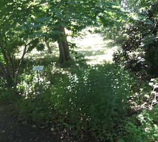 Botanischer Garten
