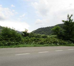 Valea Oltului / Olt-Tal 