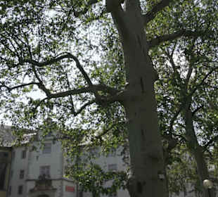 Deutschordensschloss