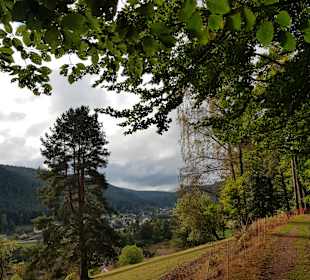 Wandern Enzklösterle