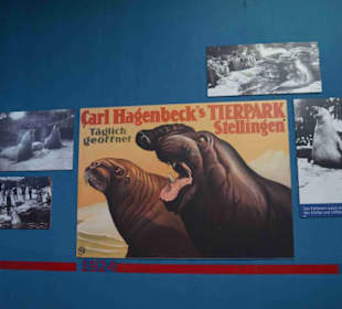 Tierpark Hagenbeck